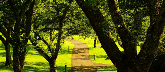 Quarterly Estate Stewardship